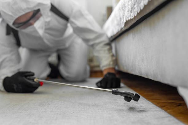 Professional Ant Control technician working in Westwego, LA